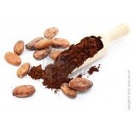 Какао-порошок Natra Cacao алкализированный красный Cordoba 10-12%
